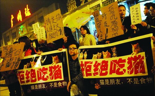 我國擬規(guī)定食用貓肉狗肉罰款5000元拘留15天
